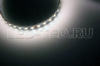 lenta_tyeplaya_rt_2_5000_50m_24v_warm_3000_2x_3528_120_led_m_lux_024571