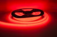 ELF_NeonLine_front_R