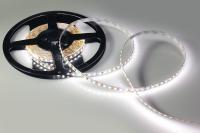 022459_1-led-ted