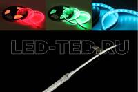 1y1va2g7d5id8l76vxbbwccsm89p75gy