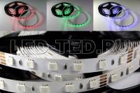 010367_1-led-ted 010367_1-led-ted