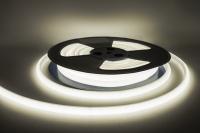 ELF_NeonLine_front_W