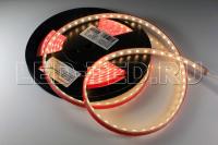 lenta_tyeplaya_rtw_2_5000ps_24v_warm_3000_2x_5060_300_led_lux_021464