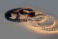 14024340_1-led-ted-led-ted