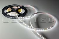 16022459_1-led-ted