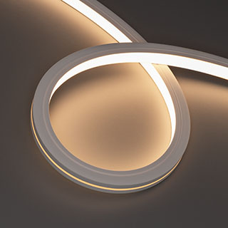 055601_image_239 055601_image_239