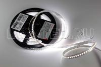 lenta_belaya_rt_2_5000_24v_white_6000_3x_2835_840_led_lux_019093