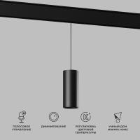 slim-magnetic-umnyy-trekovyy-svetilnik-15w-2700-6500k-dim-amend-ch-rnyy-85073-01-a063534-0001