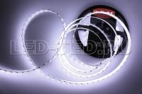 lenta_belaya_rt_2_5000_24v_white_6000_2x2_5060_600_led_lux_011256