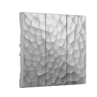 nabor-klavish-dlya-vyklyuchatelya-trekhklavishnogo-serebryanyy-w1239006-a052089_0002