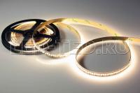 16915015_1-led-ted