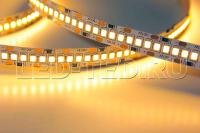 17447388_2-led-ted-led-ted