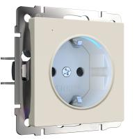 rozetka-s-podsvetkoy-ayvori-matovyy-w1171462-a062424_0001