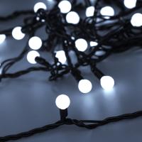 025571_photo-main_180