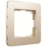 ramka-na-1-post-platinum-shampan-w0012611-a059210-0001