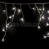 255_016 255_016