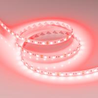 e3jeo7wvfu4ivoudgv7x2s3nqf7emkxg