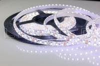 16014637_2-led-ted
