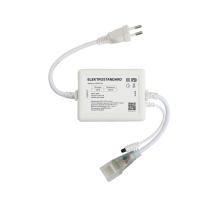 umnyy-kontroller-dlya-gibkogo-neona-rgb-220v-95007-00-a065584-0001