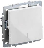BR-V10-1-10-K01