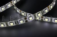 78841_2-led-ted