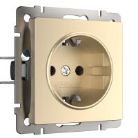 rozetka-s-zazemleniem-shampan-w1171011-a050867_0006