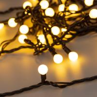 025572_photo-main_179