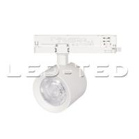 031162_led_ted