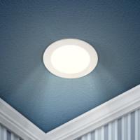 Б0017487