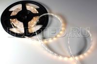024092_1-led-ted 024092_1-led-ted