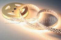 lenta_tyeplaya_rt_2_5000_24v_warm_3000_3x2_2835_1260_led_lux_019927