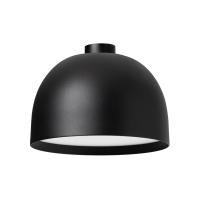 051162_photo-main_99