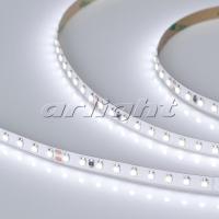 lenta_belaya_rt_2_5000_36v_white_2x_3528_600_led_lux_015002