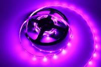 010596_7-led-ted