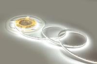 19861559_1-led-ted