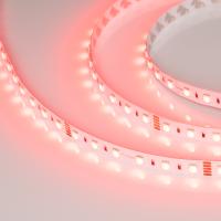 0191512_photo-main_142