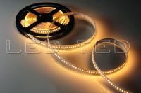 16813283_1-led-ted