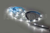 030120_1_led_ted 030120_1_led_ted