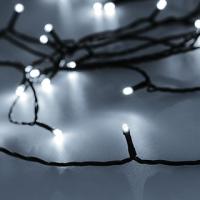 049516_image