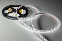 15022459_1-led-ted