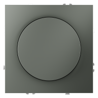 Renderfront_VLS070306_w_standard