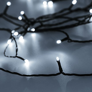 049519_image