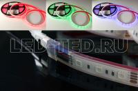 lenta_rgb_rtw_2_5000pgs_12v_rgb_2x_5060_300_led_lux_013401