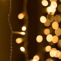 024835_photo-main_178