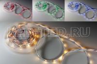 lenta_rgbww_rt6_5050_60_24v_rgb_warm_2x_300_led_018327