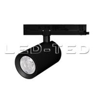 031177_led_ted